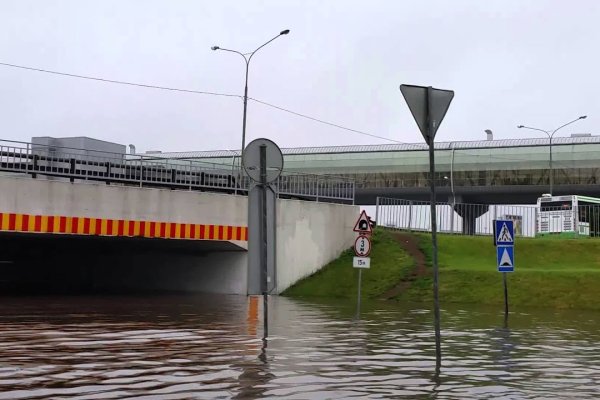 Где взять ссылку на кракен
