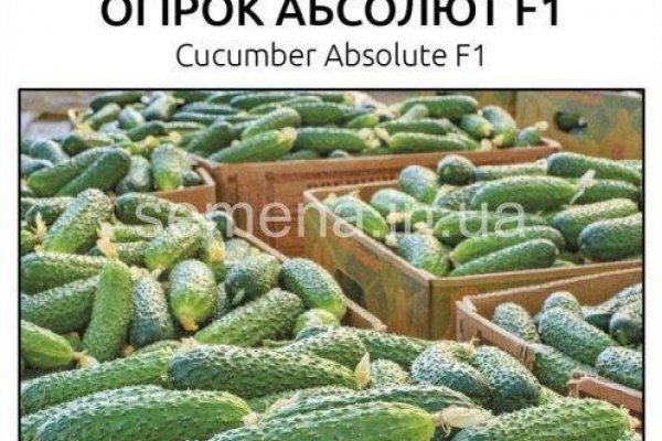 Не могу зайти на кракен