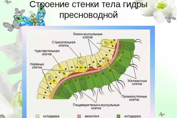 Кракен дарк площадка