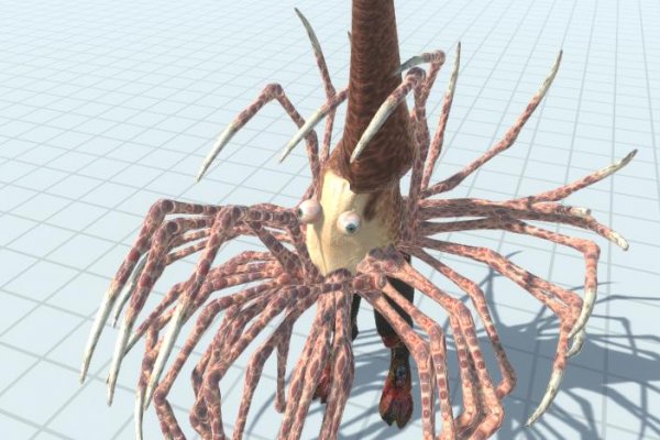 Kraken18 at