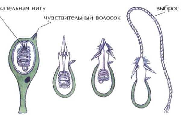 Кракен дарк оригинал ссылка